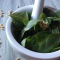 Il mio pesto