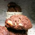 GALLETTE AL  CIOCCOLATO E NOCCIOLE