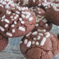 Ritorno con i biscotti di Gambetto !!!