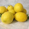 Limoni