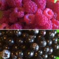 Frutta di stagione