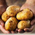 Le patate e la loro cottura