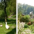Sul fiume Leff con Lamour....