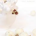 Tartufi cocco, ricotta, cioccolato, pistacchio[...]