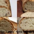 La doppia P: pane e proverbi