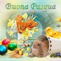 BUONA PASQUA