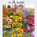 Pasqua 2013: Auguri a tutti ♥♥♥