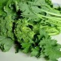 Cime di rapa stufate con pomodorino pachino e[...]