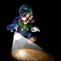 un progetto per Nintendo
