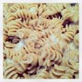 Fusilli alla bava