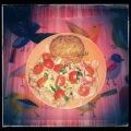 Frittelle di ceci e zucchine con pecorino[...]