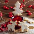 Biscotti di Natale speziati