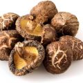  Funghi shiitake: scopri il potere dei funghi[...]
