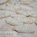 Malloreddus semintegrali
