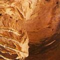 Crema di nocciole