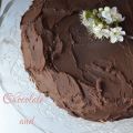 Chocolate and Orange Decadent Cake