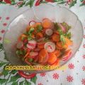 insalata di  ravanelli e carote