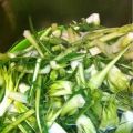 Cicoria e carciofi alla salentina