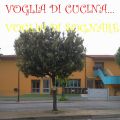 L'ALBERO MAGICO