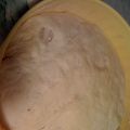 IMPASTO PER PIZZA