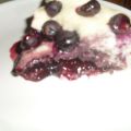 SCHIACCIATA D'UVA