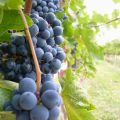LA RUBRICA DI SETTEMBRE 2014