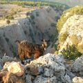 Creta terza tappa: le Gole di Samaria e i[...]