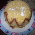 Zuccotto di pandoro