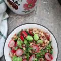 Insalata di cereali, fave e ravanelli