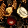 'Mac' Riso e Castagne