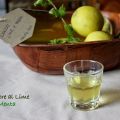 Liquore al lime e menta