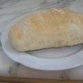 Panini all'olio