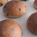 MARICIOCCOLI????????????