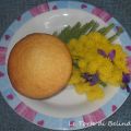 MUFFINS AL COCCO.