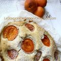TORTA DI ALBICOCCHE