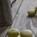 Macarons al tè Matcha