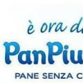 Collaborazione 