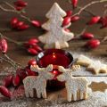 Biscotti di Natale : la raccolta