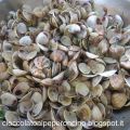 VONGOLE ALLA MARINARA (peverasse alla marinara)