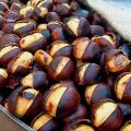 LA RUBRICA DI OTTOBRE