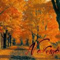 LA RUBRICA DI NOVEMBRE 2014