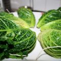 Fagottini di verza ripieni