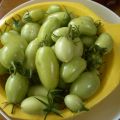 I pomodori verdi del mio giardino