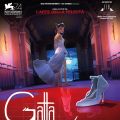 GATTA CENERENTOLA