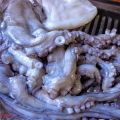 POLPO (tante ricette) - Il Blog di Picetto