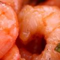 Insalata di gamberetti