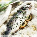Branzino al sale alle erbe aromatiche