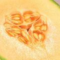 Spiedini di melone e formaggio