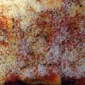 Parmigiana di Melanzane cotte col Varoma