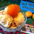 GELATO alle ALBICOCCHE e MANDORLE